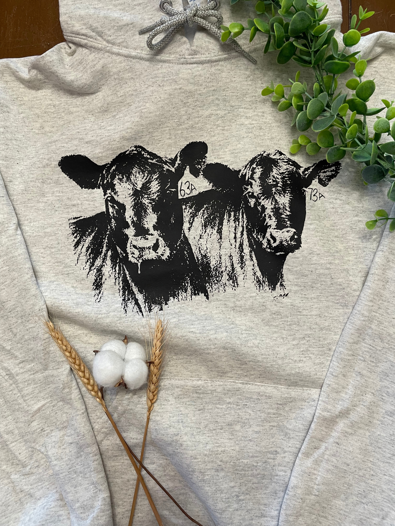 Angus Cows- Heather Oatmeal